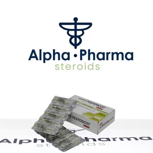 Testoscot (Scott-Edil Pharmacia Ltd) on alpha-pharma.pro